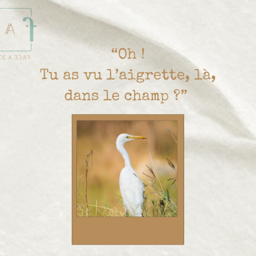 « J&rsquo;ai choisi d&rsquo;apprendre à communiquer »